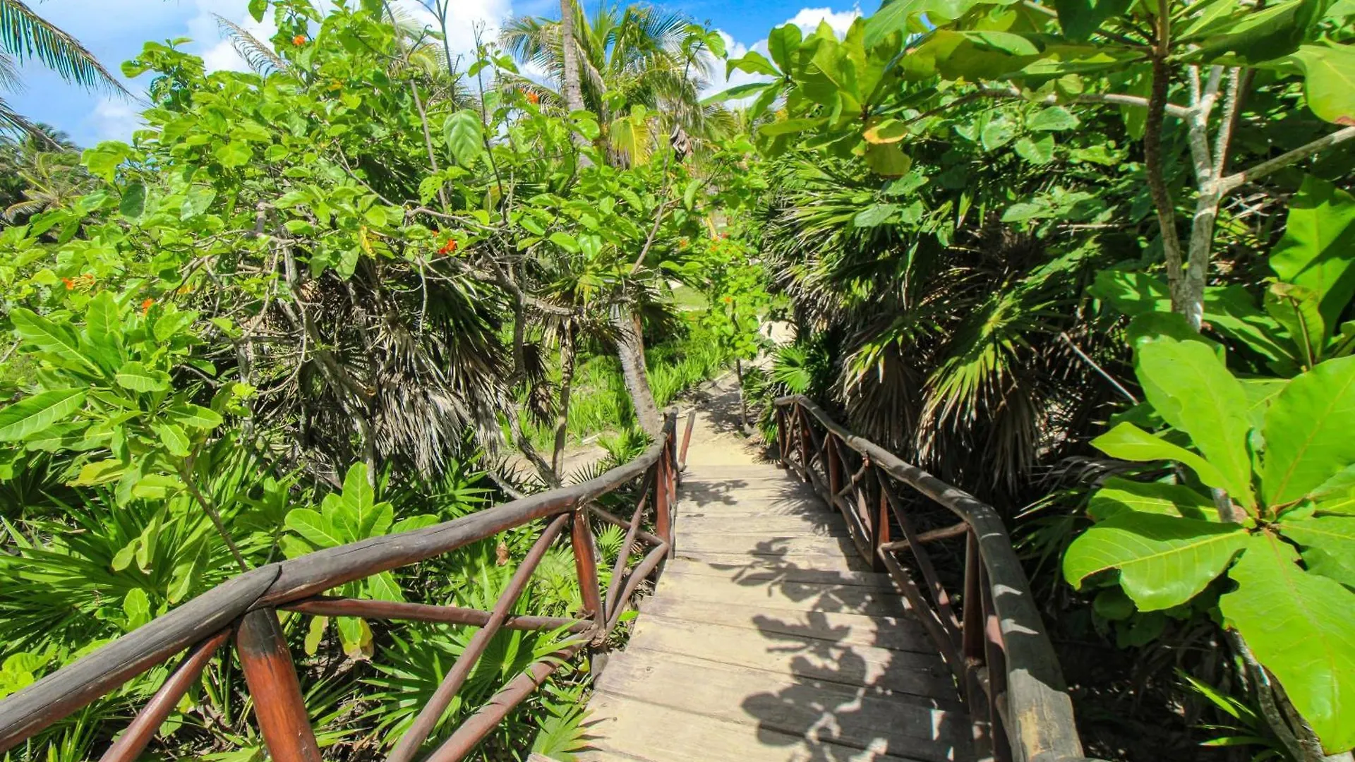 Feriehus The Hibiscus House Villa Tulum