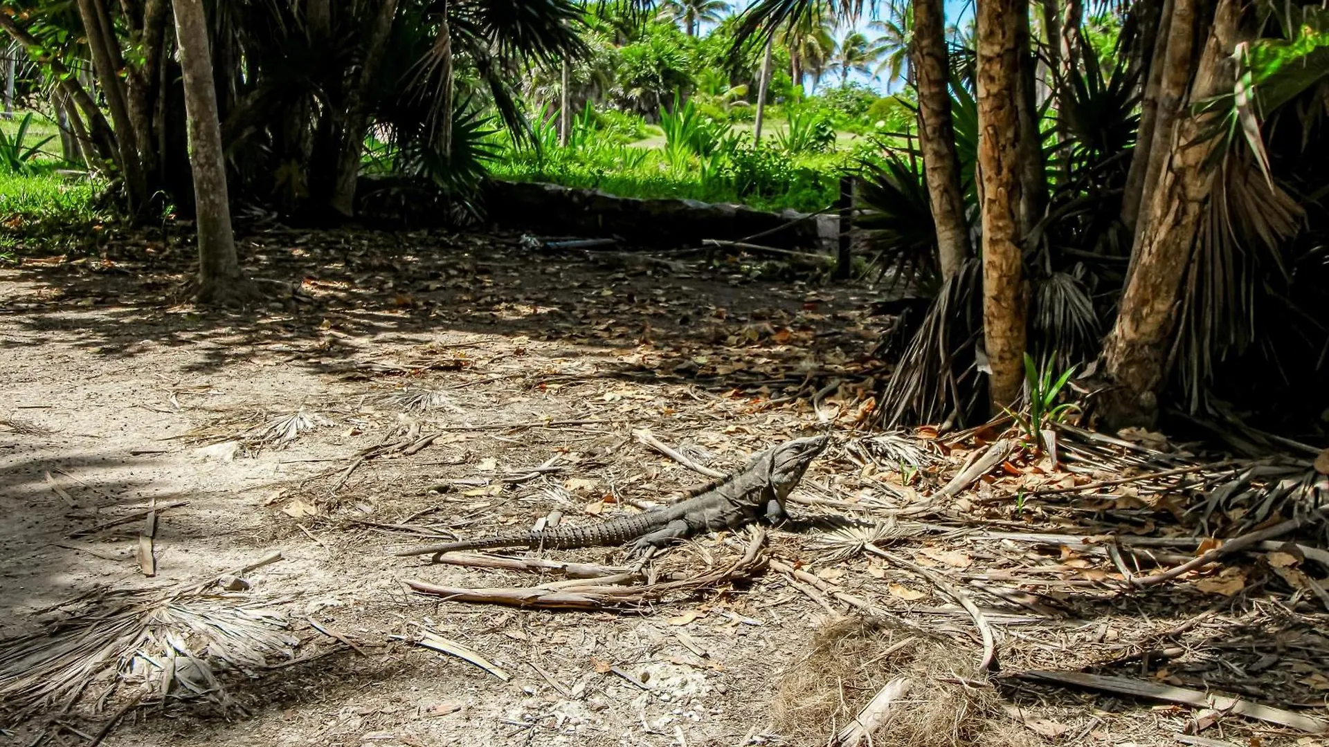 The Hibiscus House Villa Tulum 0*,  Mexico
